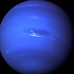 Neptun Neptun