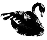 Der Falke – Keltisches Tierzeichen - Symbol Bedeutung